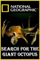 National Geographic. В поисках гигантского осьминога / Search for the Giant Octopus (2009)