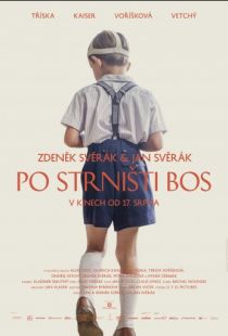 Босиком по стерне / Po strnisti bos (2017)