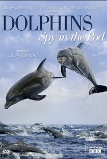 Дельфины скрытой камерой / Dolphins: Spy in the Pod (2014)