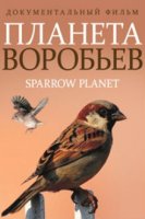 Планета воробьев (2013)