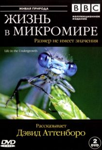 BBC: Жизнь в микромире / Life in the Undergrowth (2005)