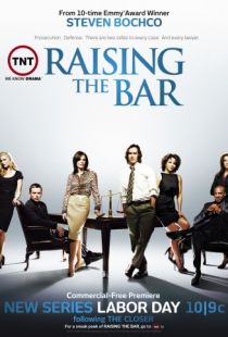 Адвокатская практика / Raising the Bar (2008)