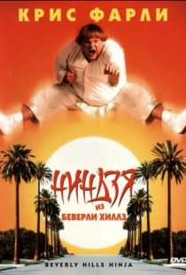 Ниндзя из Беверли Хиллз / Beverly Hills Ninja (1997)