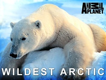 Суровая Арктика / Wildest Arctic (2013)