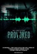 Спровоцированный / Provoked (2013)