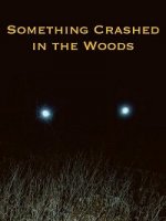 Крушение в лесу / Something Crashed in the Woods (2018)