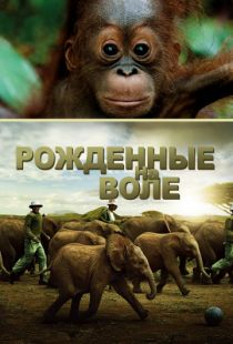 Рожденные на воле / Born to Be Wild (2011)