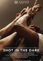 Выстрел в темноте / Shot in the Dark (2017)