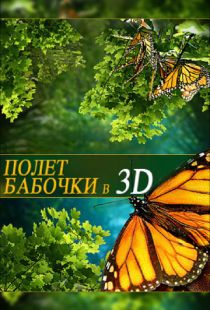 Полет бабочки 3D / Flight of the Monarch Butterfly 3D (2012)