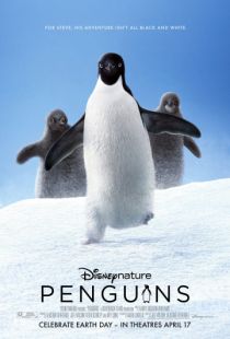 Пингвины / Penguins (2019)