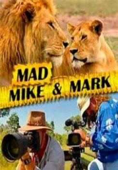 Безумные Майк и Марк / Mad Mike & Mark (2004)