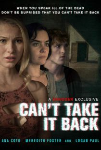 Необратимое / Can't Take It Back (2017)