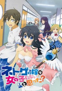 А ты думал, что девушки не бывают в Сети? / Netoge no yome wa onnanoko ja nai to omotta? (2016)