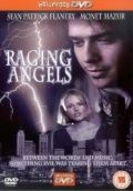 Разгневанные ангелы / Raging Angels (1995)