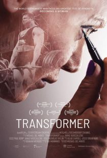 Трансформеры: Последний рыцарь / Transformer (2017)