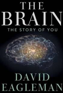 Мозг с Дэвидом Иглменом / The Brain with Dr. David Eagleman (2015)