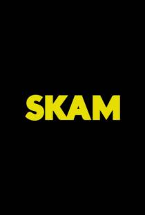 Стыд / Skam (2015)