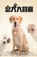 Спасите наших собак / Save My Dogs (2018)