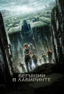 Бегущий в лабиринте / The Maze Runner (2014)