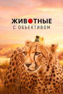 Животные с объективом / Animals with Cameras (2018)