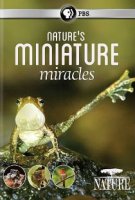 BBC: Миниатюрные чудеса / Nature's Miniature Miracles (2017)