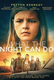 На что способна ночь / What the Night Can Do (2017)