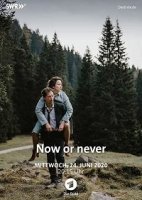 Сейчас или никогда / Now or Never (2019)