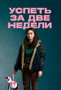 Успеть за две недели / Two Weeks to Live (2020)