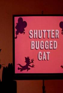 Кот скрытой камерой / Shutter Bugged Cat (1967)