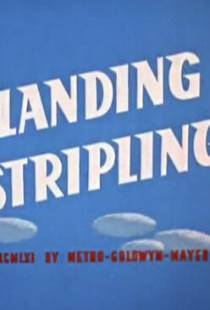 Желаем мягкой посадки / Landing Stripling (1962)