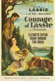 Храбрость Лэсси / Courage of Lassie (1946)