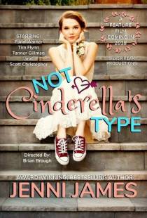 Совсем не Золушка / Not Cinderella's Type (2018)