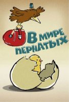 В мире пернатых