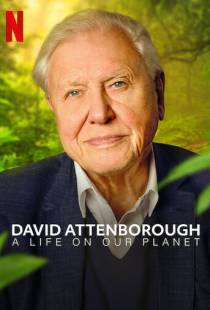 Дэвид Аттенборо: Жизнь на нашей планете / David Attenborough: A Life on Our Planet (2020)