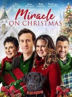 Рождественское чудо / Miracle on Christmas (2020)