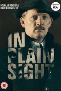 На виду / In Plain Sight (2016)