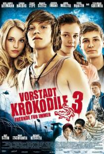 Деревенские крокодилы 3 / Vorstadtkrokodile 3 (2011)