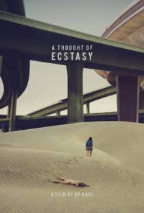 В поисках наслаждения / A Thought of Ecstasy (2017)