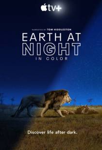 Земля ночью в цвете / Earth at Night in Color (2020)