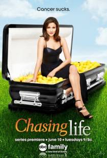 Погоня за жизнью / Chasing Life (2014)