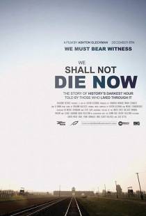 Мы Не Умрем Сегодня Вечером  / We Will Not Die Tonight (2018)