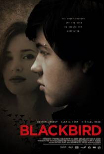 Чёрный дрозд / Blackbird (2012)