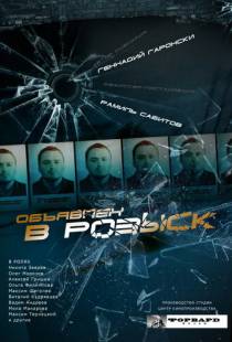 Объявлен в розыск (2010)