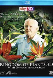 В королевстве растений / Kingdom of Plants 3D (2012)