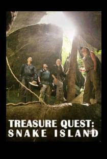 В поисках сокровищ: Змеиный остров / Treasure Quest: Snake Island (2015)