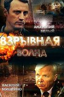 Взрывная волна (2017)