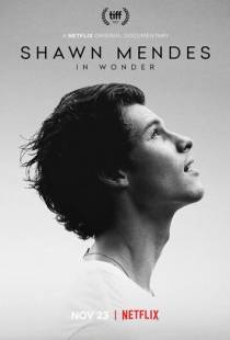 Шон Мендес: In Wonder / Shawn Mendes: In Wonder (2020)