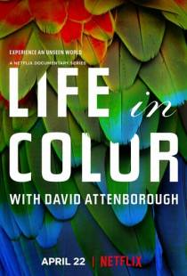 Жизнь в цвете с Дэвидом Аттенборо / Life in Colour (2021)