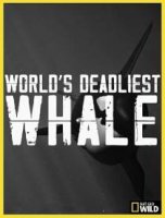 Nat Geo Wild: Самый смертоносный кит / World's Deadliest Whale (2020)