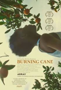 Горящий тростник / Burning Cane (2019)